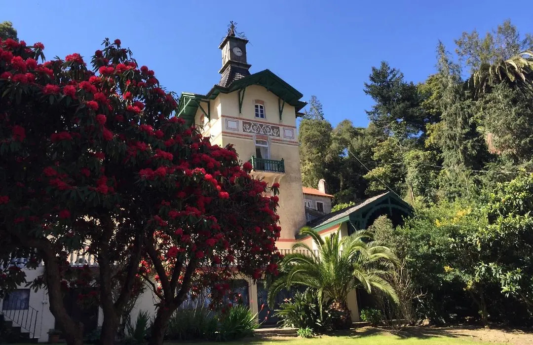 Chalet Relogio Guesthouse-1